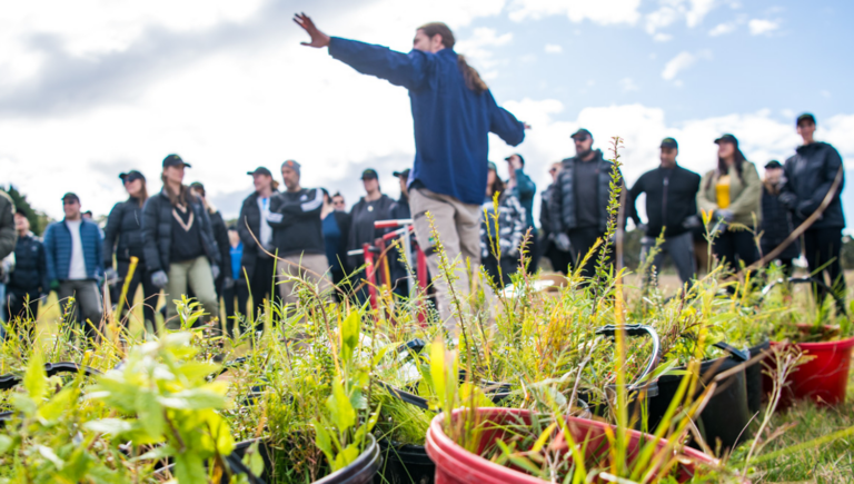 A man in the centre with outstretched arms addresses a crowd of people. Visible in the foreground are buckets full of seedlings ready to be planted.